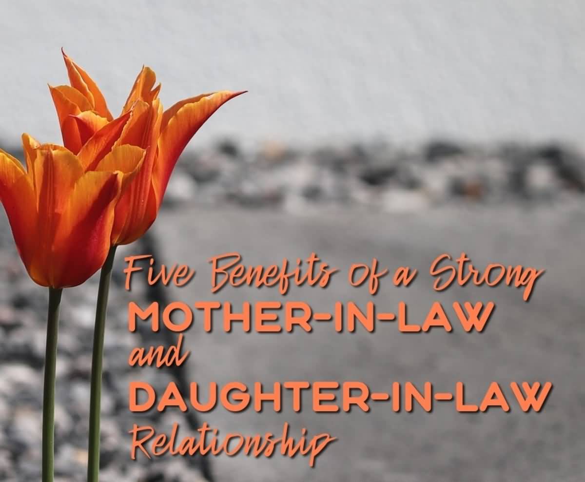 Five Benefits Of A Daughter In Law Quotes