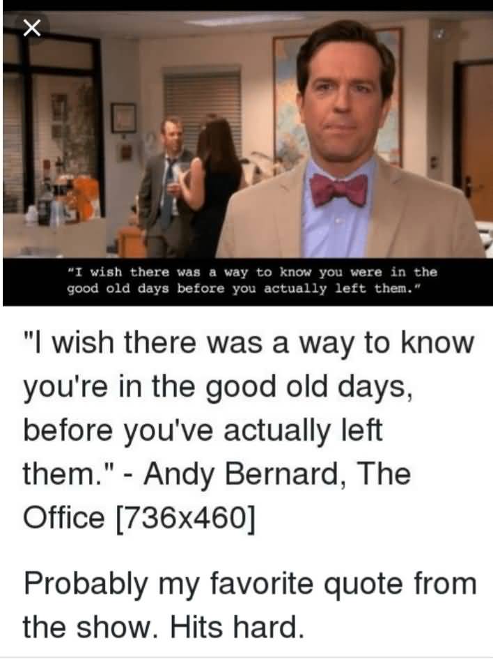I Wish Where Was Andy Bernard Quotes