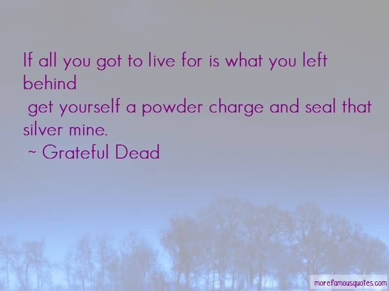 If All You Got To Grateful Dead Quotes