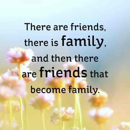 There Are Friends There Is Friends Are Family Quotes