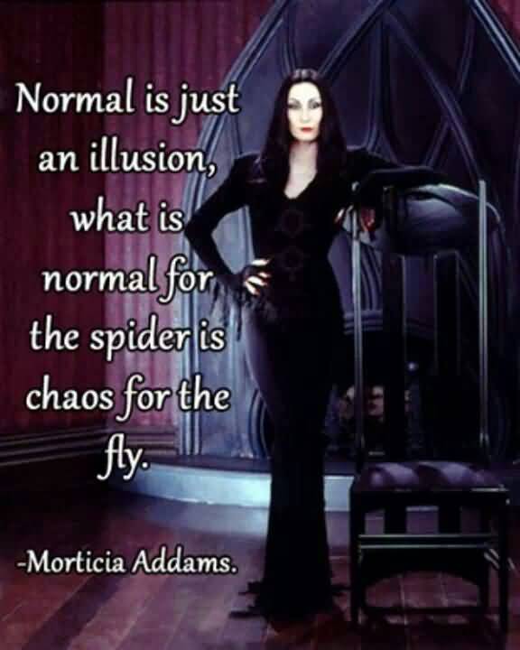 Normal Is Just An Morticia Addams Quotes