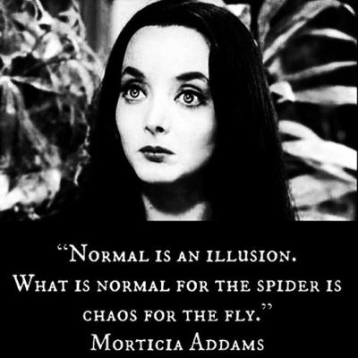 What Is Normal For Morticia Addams Quotes