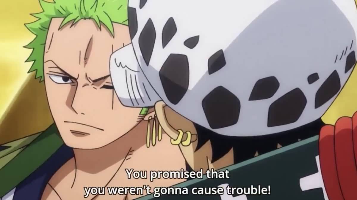 You Promised That You One Piece Quotes
