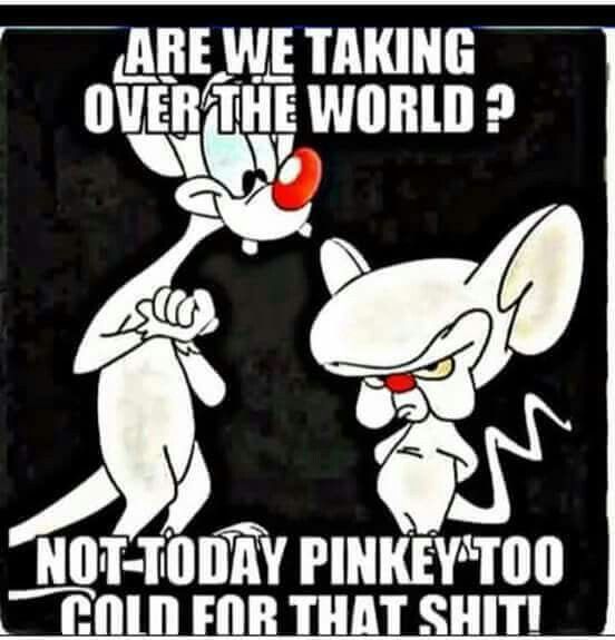 Are We Taking Over Pinky From Friday Quotes