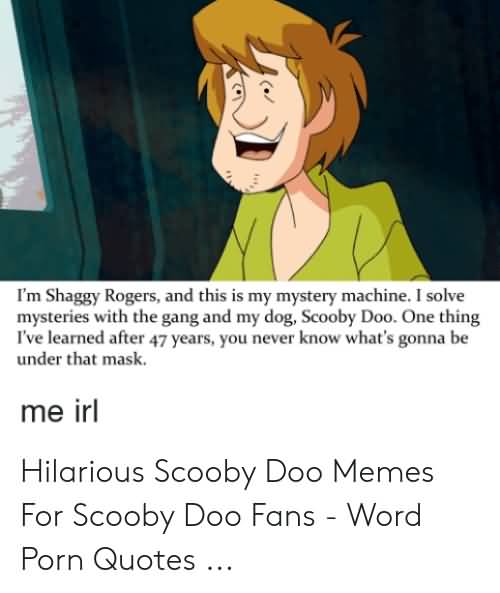 I'm Shaggy Rogers And Scooby Doo Quotes