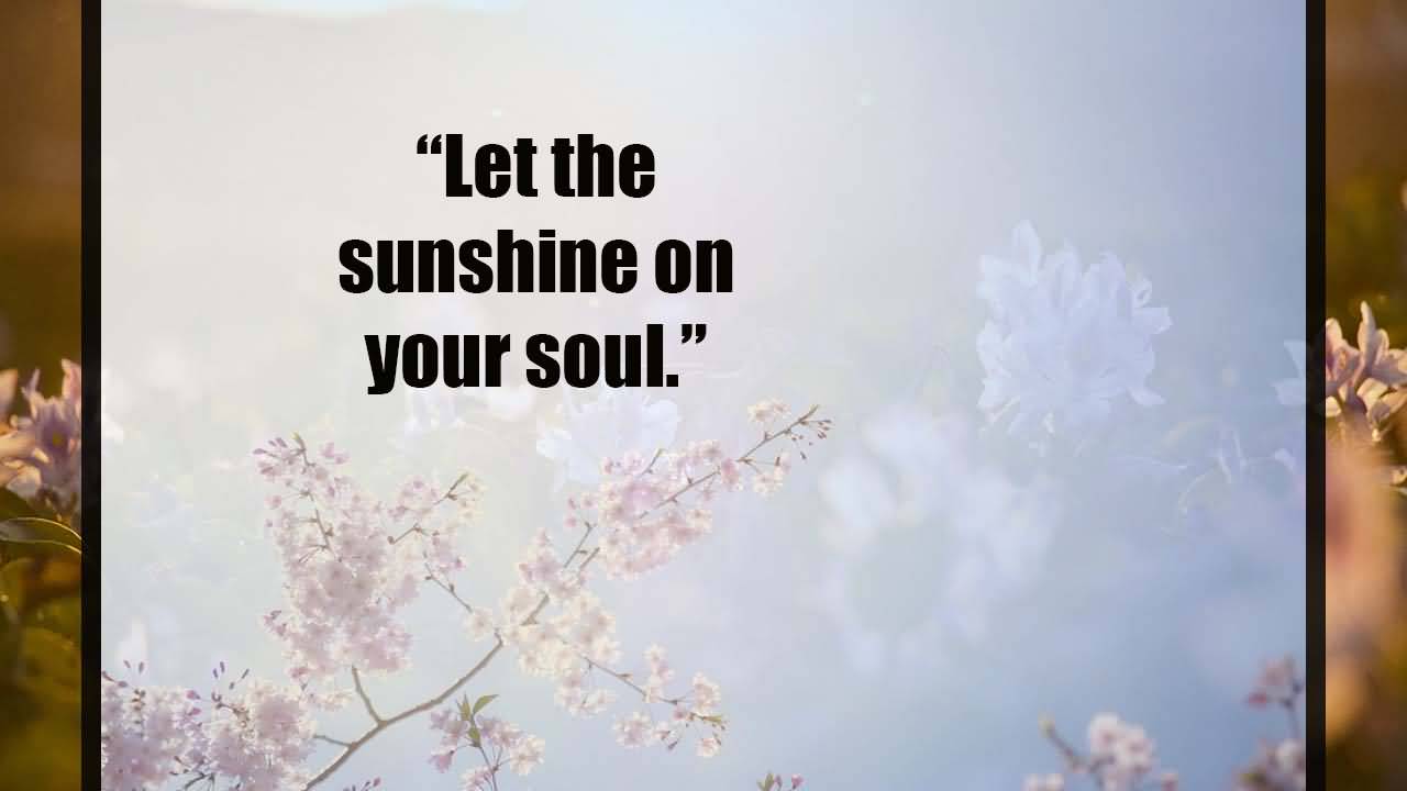 Let The Sunshine On Quotes About Sunshine