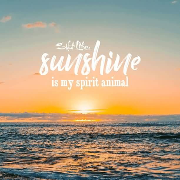 Sunshine Is My Spirit Quotes About Sunshine