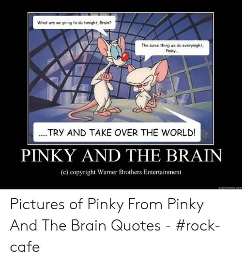 Try And Take Over Pinky From Friday Quotes